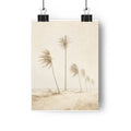 Los cocoteros de Macuto — Lámina giclée